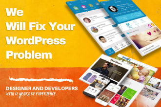 fix wordpress problem or customize theme