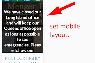 fix bugs, mobile responsive, speedy website