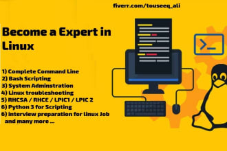 teach you linux professionally