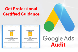 do a google ads full audit