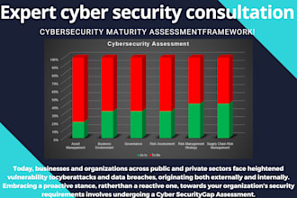 provide expert and pragmatic cyber security consultation