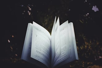 record professional german voice notes and books