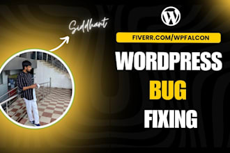 fix your wordpress error, issue or elementor related problem