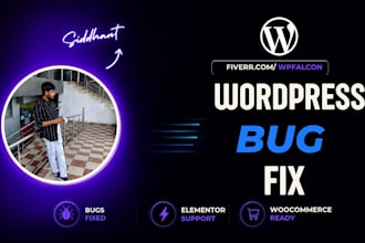 fix wordpress, elementor and woocommerce errors