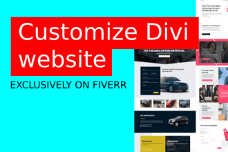 customize divi website, wordpress divi theme