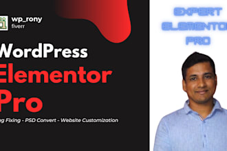 build education, newspaper, construction or medical website with elementor pro