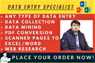 do excel data entry and web research