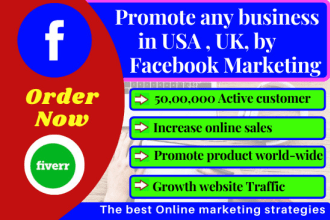 promote any product in the USA through facebook ads campaign