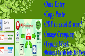 do perfect data entry, copy paste, word with data analysis
