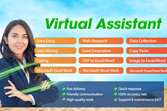 do data entry, PDF to excel, copypaste fast in 12 hours