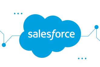 do salesforce CRM admin and development