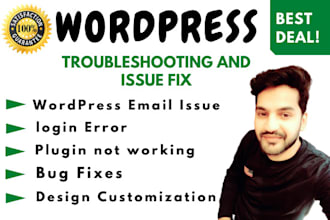 troubleshoot and fix any wordpress website issue