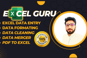 be you excel guru with excel data entry