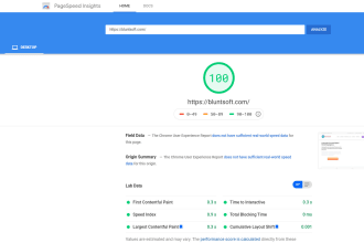 do pagespeed optimization of your wordpress website