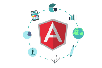 develop angular web applications