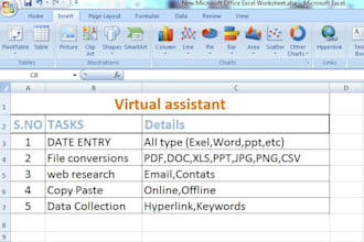 perform data entry,file conversion,web research