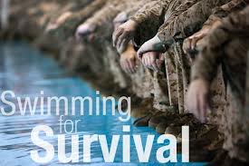 give Swimming Tips