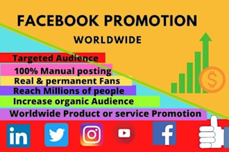 do facebook promotion to the targeted audience