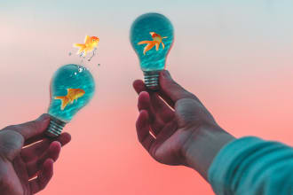 do any type of photoshop cartoonic edit