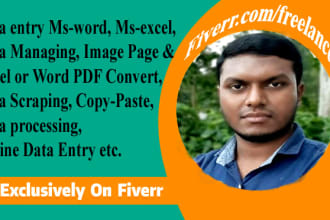 do any data entry word, excel
