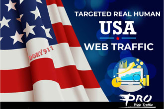 american web visitors real targeted organic traffic from USA