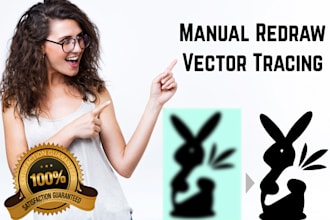 do vector tracing, vector convert, logo redraw