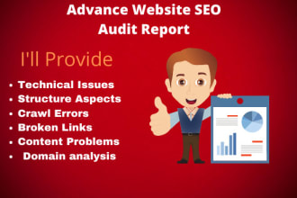 provide advance website seo audit report