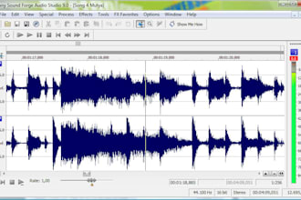 edit any audio/music