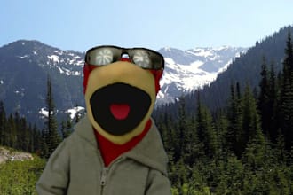 have Buddy do a groovy 30 second video of just about anything