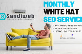 do monthly website SEO optimization service
