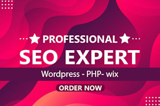 fix any SEO issue with your  website