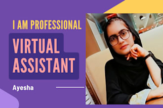 be your professional virtual assistant for data entry