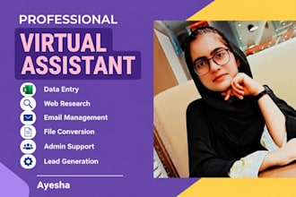 be your professional virtual assistant for data entry