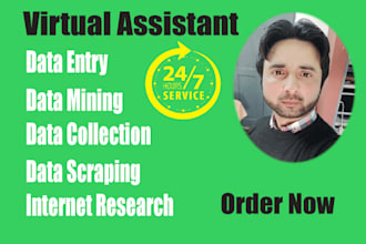 virtual assistant for microsoft excel data entry services