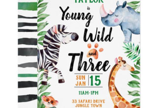 design an eye catching childrens birthday party flyer for you
