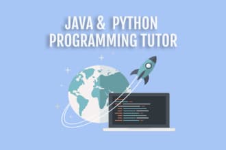 teach you java programming and python programming from basic to advanced