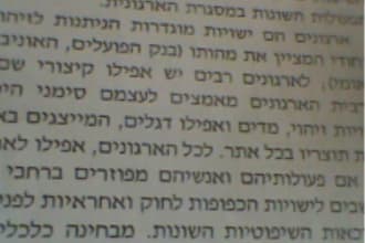 translat English to Hebrew
