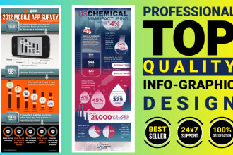 do top quality informative infographic design