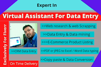 do your online data entry and web research accurately