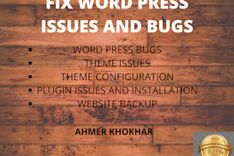 fix any wordpress errors, issues, bugs and problems