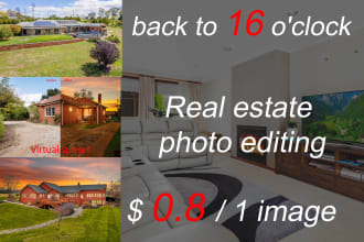 real estate photo editor