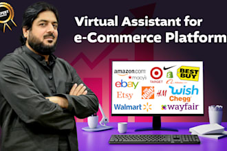be VA of your amazon ebay walmart and shopify accounts ads