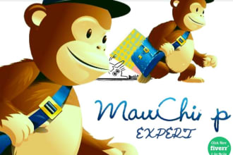 be your mailchimp email campaign and automation expert