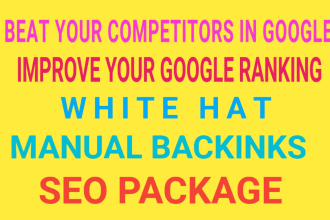 provide SEO service to get top rank on google