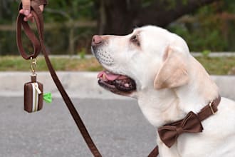 shoot lifestyle, product photography with dog