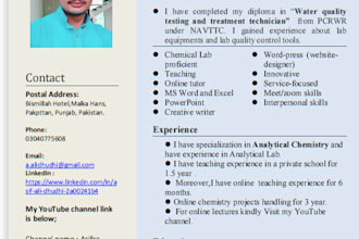 provide professional resume and CV writing services