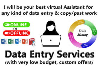 be your virtual assistant for data entry,copy paste,web research,web scraping