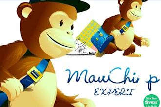 be your mailchimp email campaign and automation expert