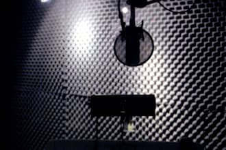 record anything and in any voice, up to 1000 words,