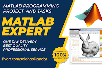 do matlab project or matlab programming task